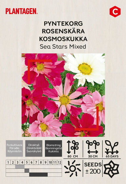 Kosmoskukka 'Sea Stars' Monivärinen | Plantagen