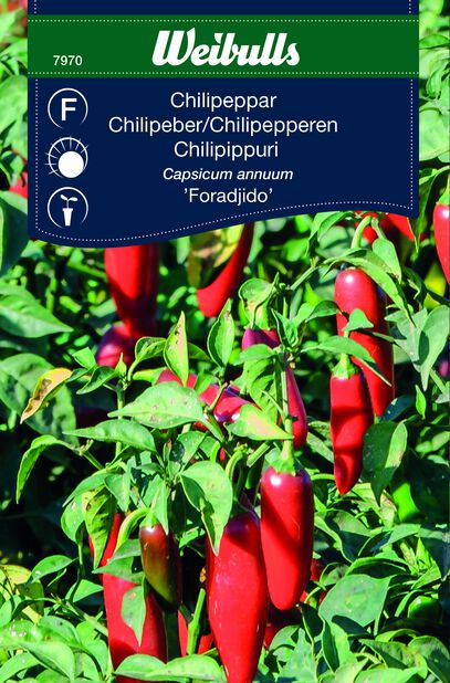 Chili 'Foradjido' | Plantagen