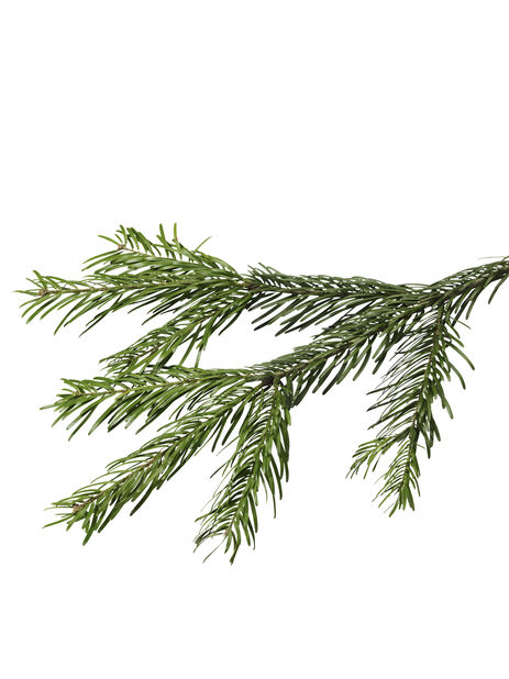 Joulukuusi Jalokuusi Korkeus 160-190 cm Vihreä | Plantagen