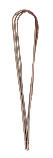 Kasvituki bambukaari Korkeus 118 cm Beige | Plantagen