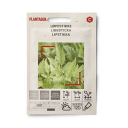 Monivuotiset vihanneskasvit – helppohoitoisia ja mielenkiintoisia |  Plantagen