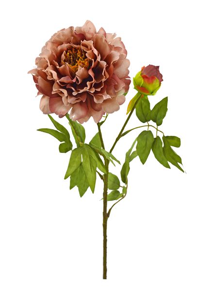 Pioni tekokasvi Pituus 70 cm Pinkki | Plantagen