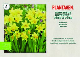 Pääsiäinen - Osta Plantagenilta | Plantagen